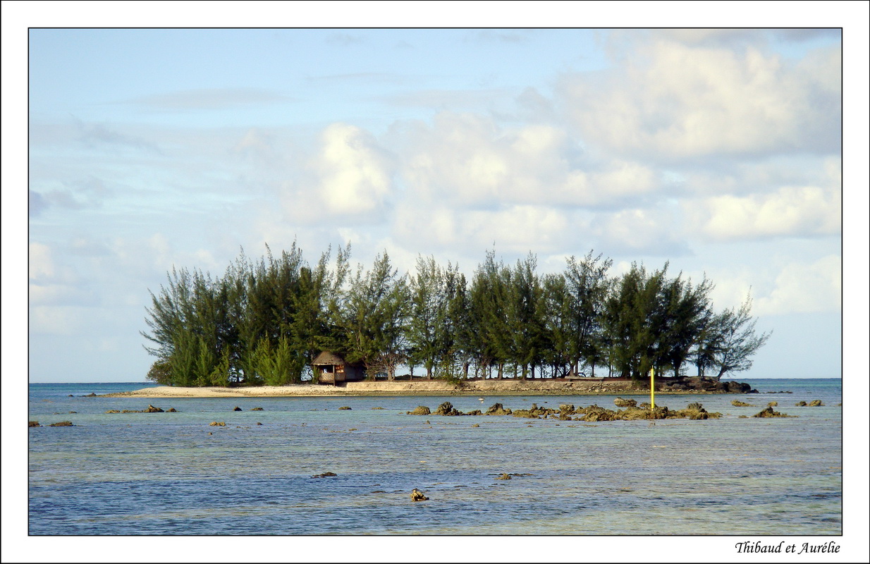 2009 - 08 - Moorea 12